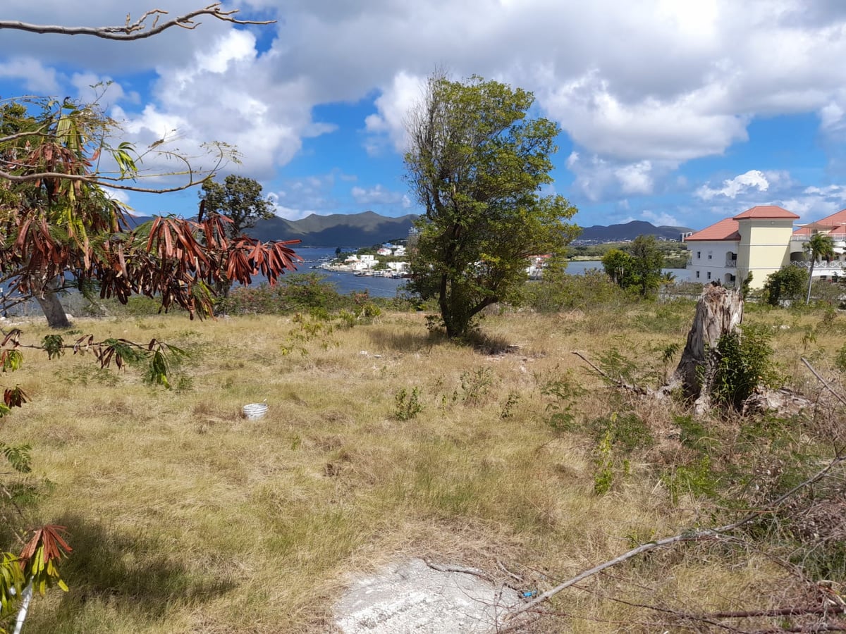 Main property