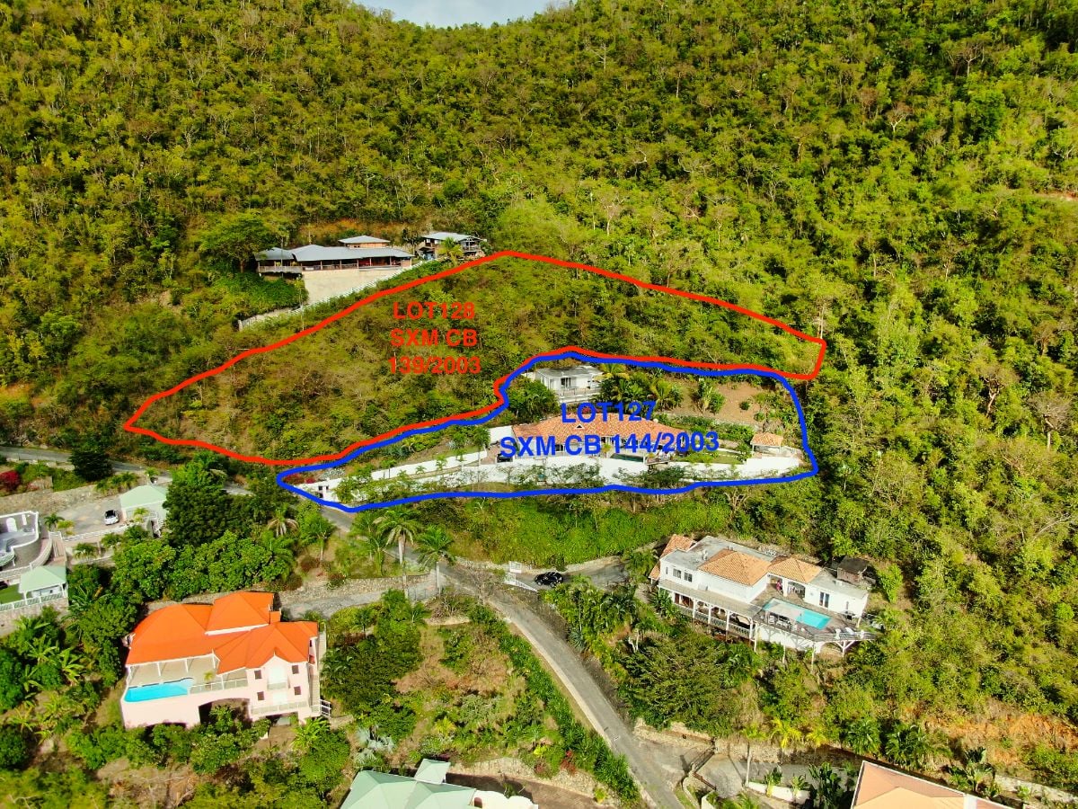 Main property