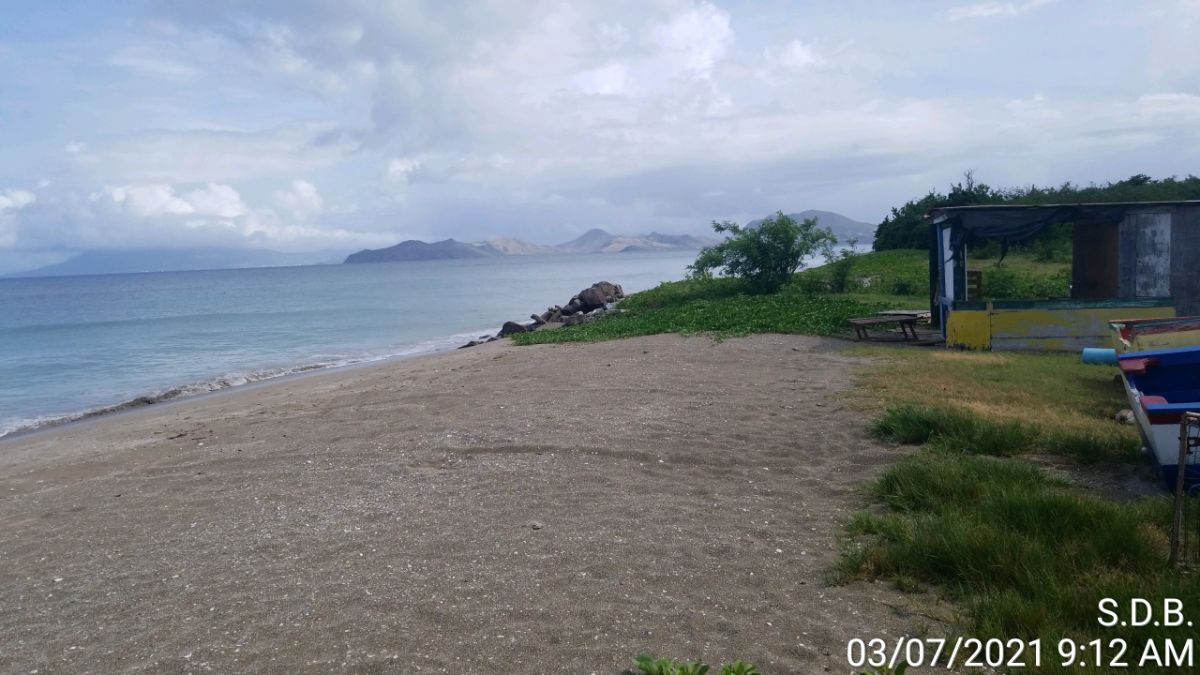Main property