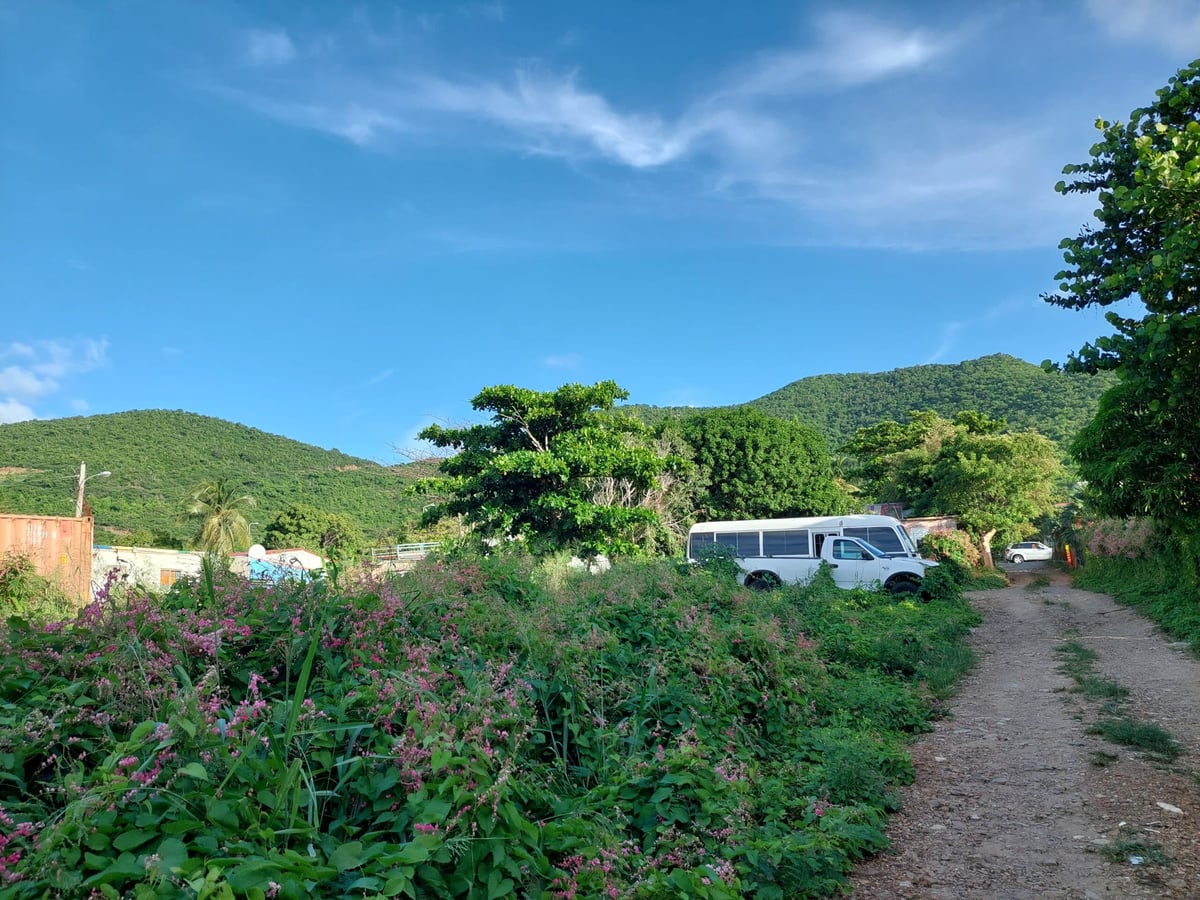 Main property
