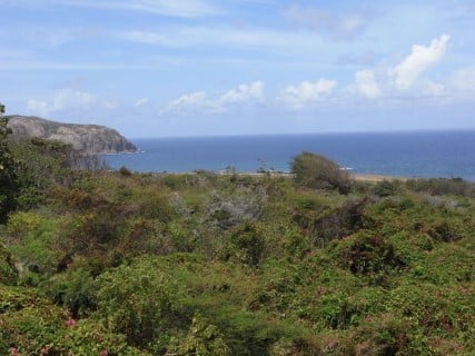 Main property