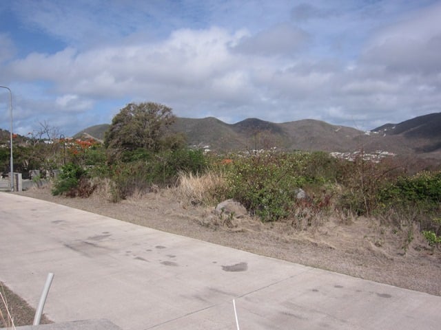 Main property