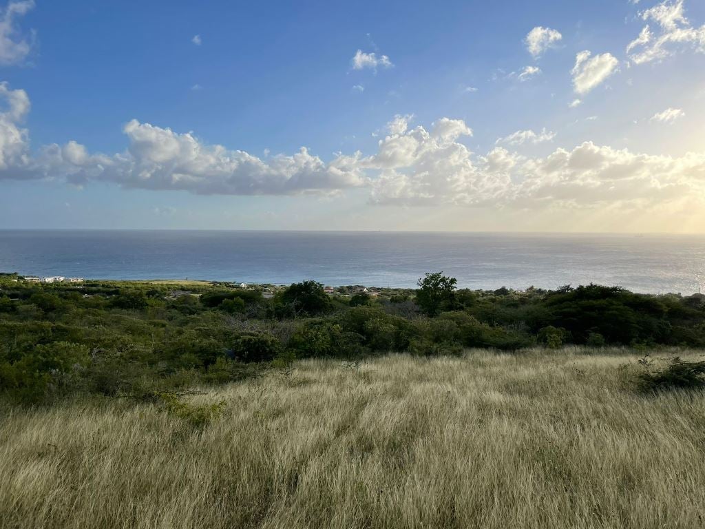 Main property