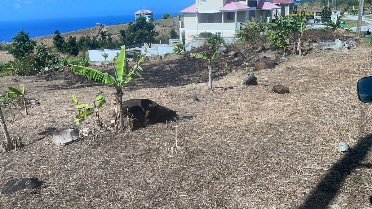 Main property