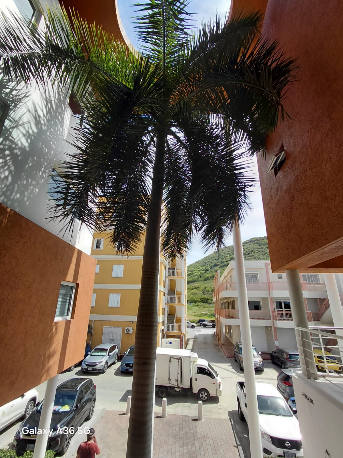 Main property