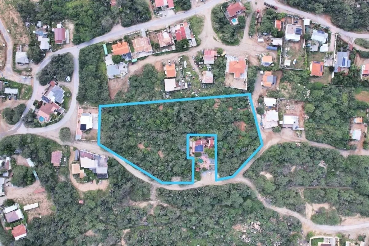 Main property