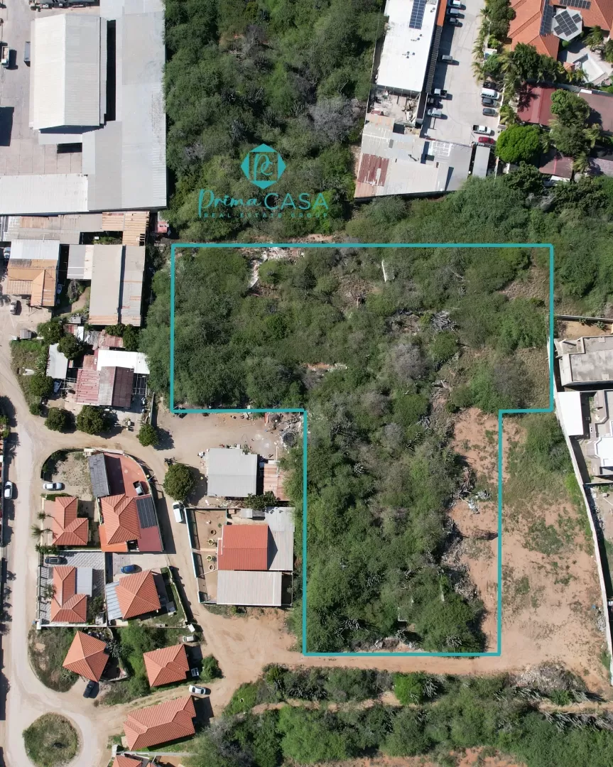 Main property
