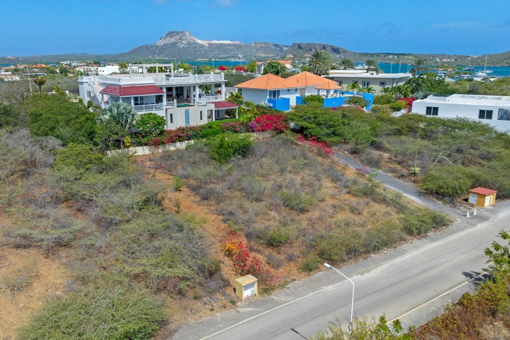 Main property
