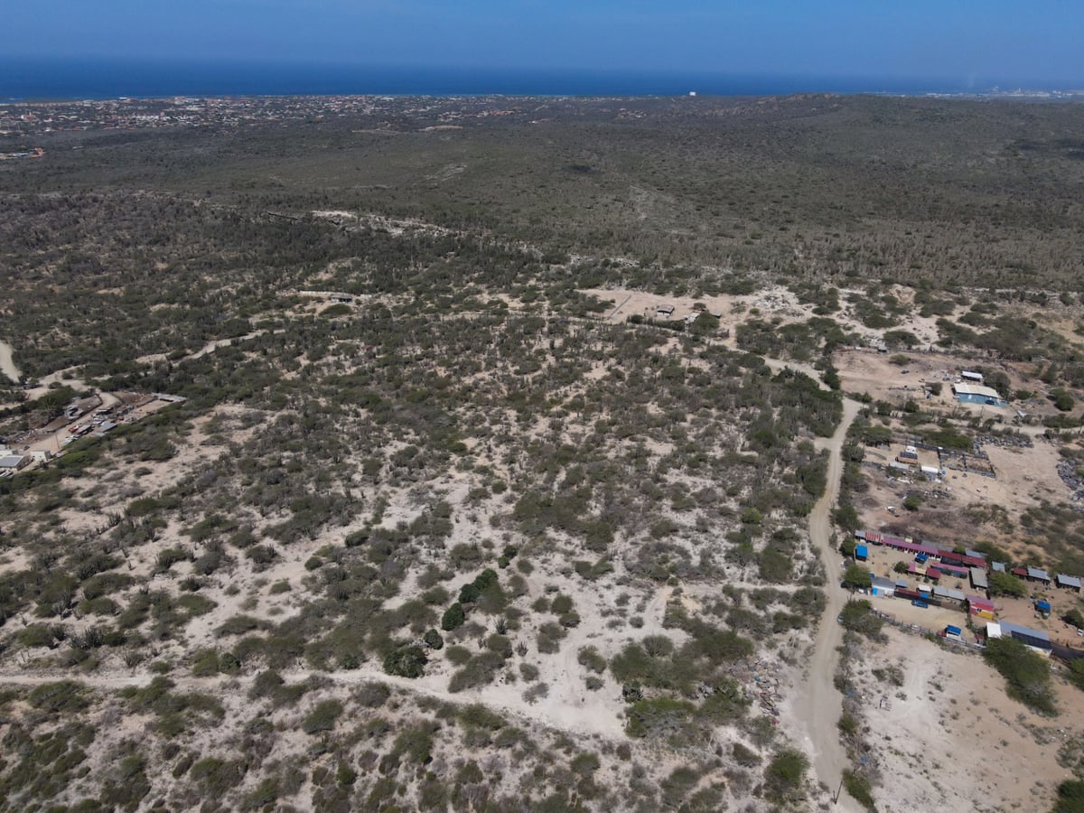 Main property