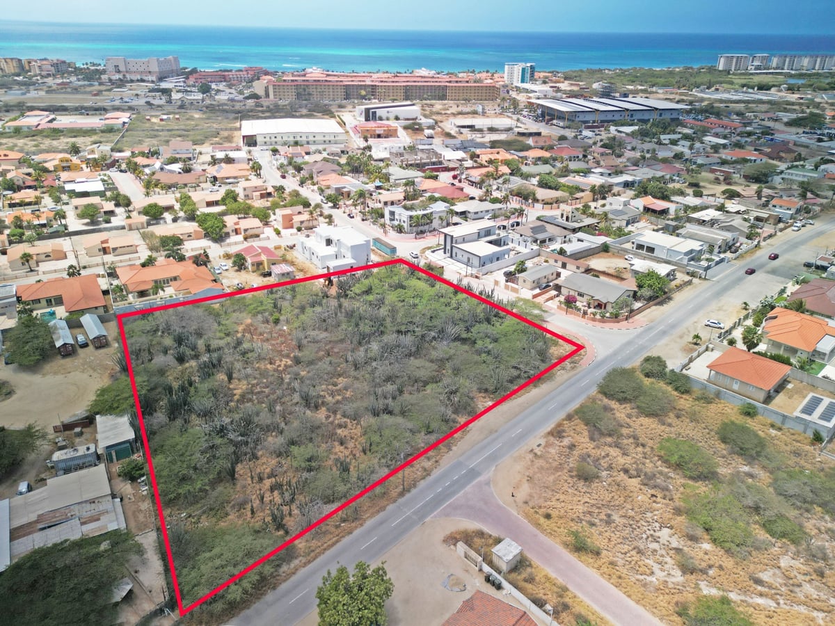 Main property