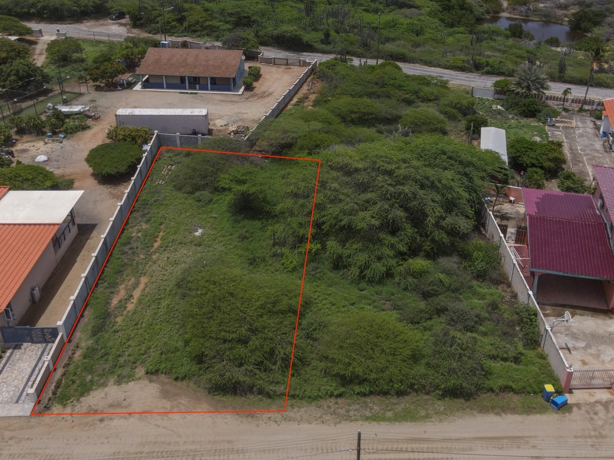 Main property