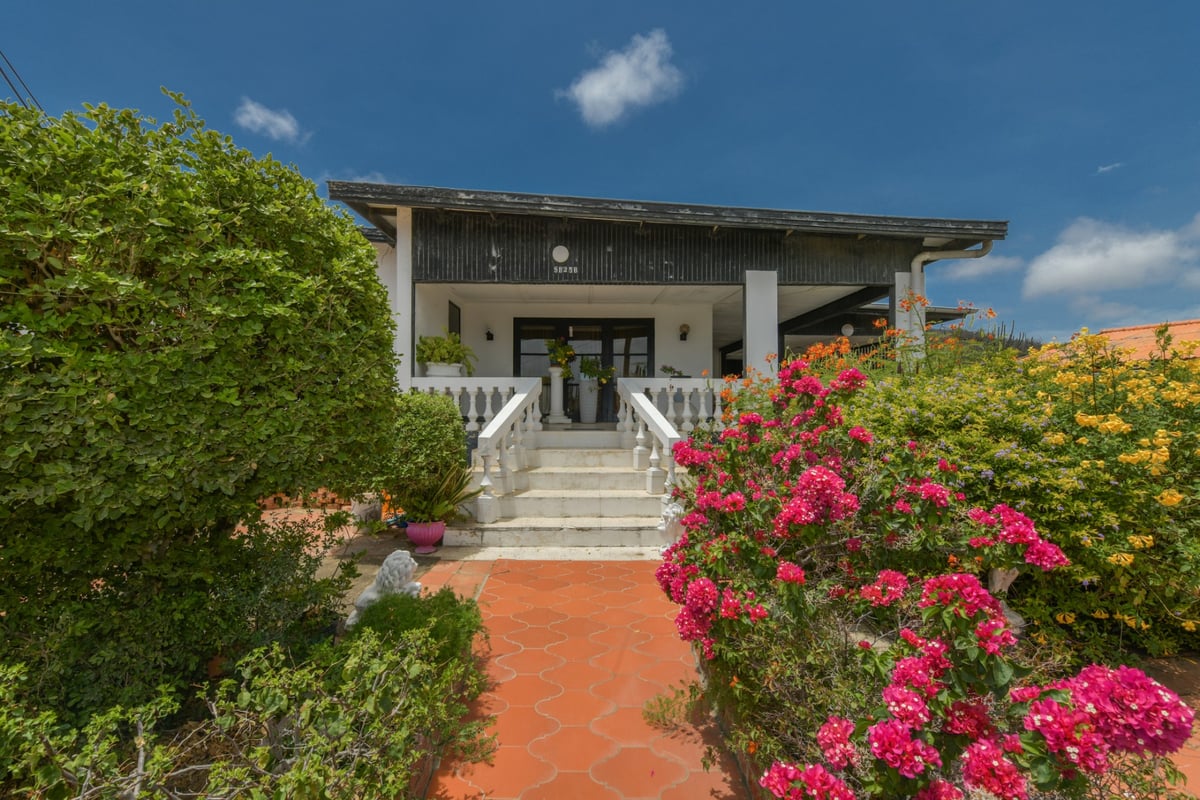 Main property