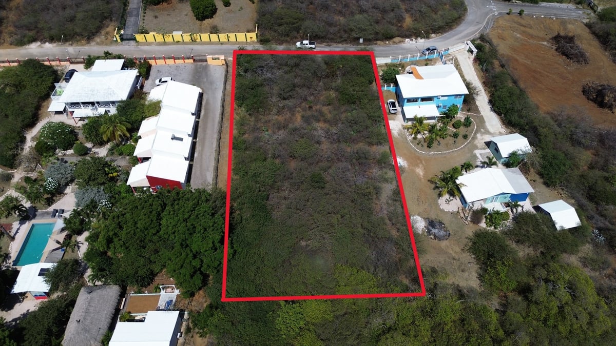 Main property