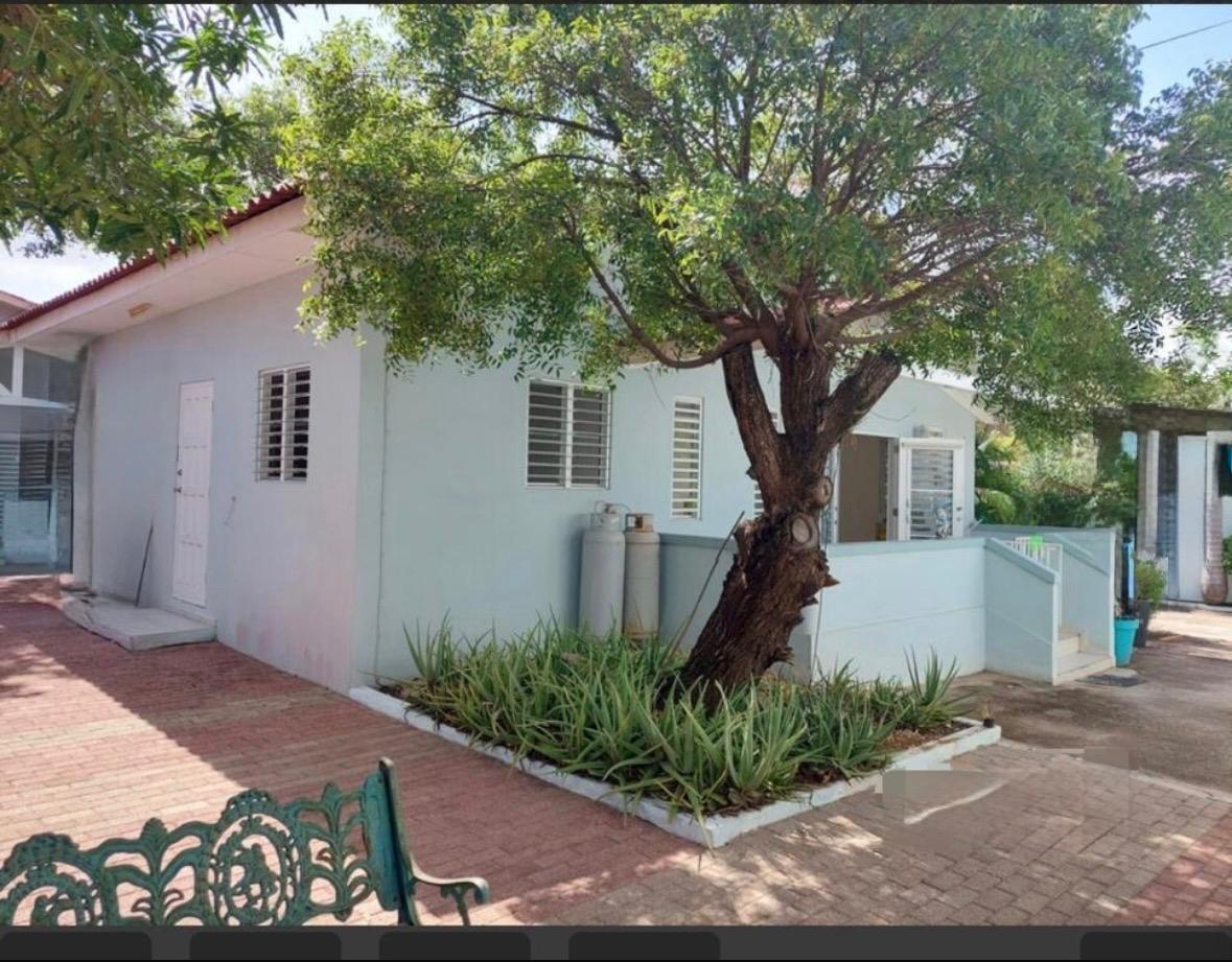 Main property