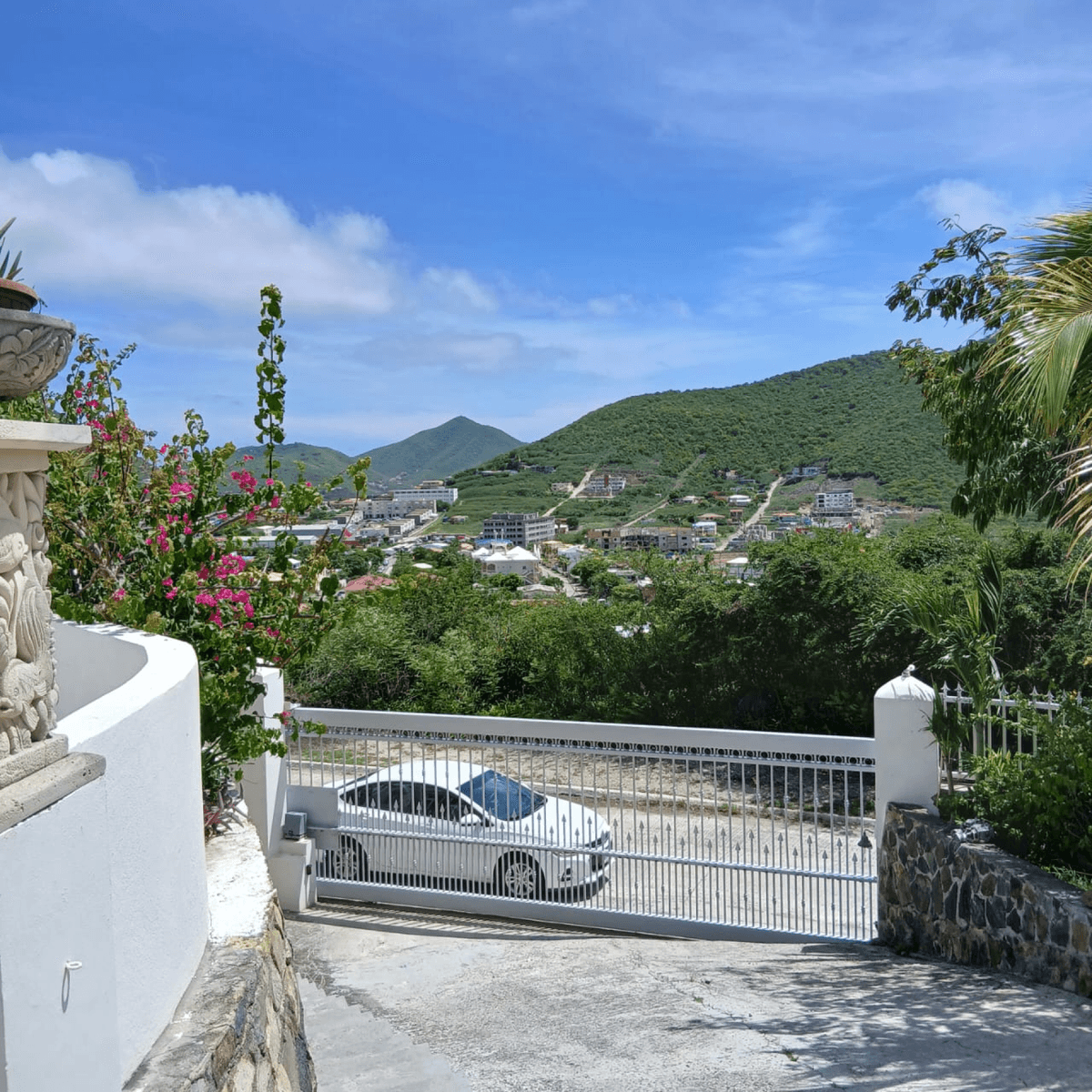 Main property
