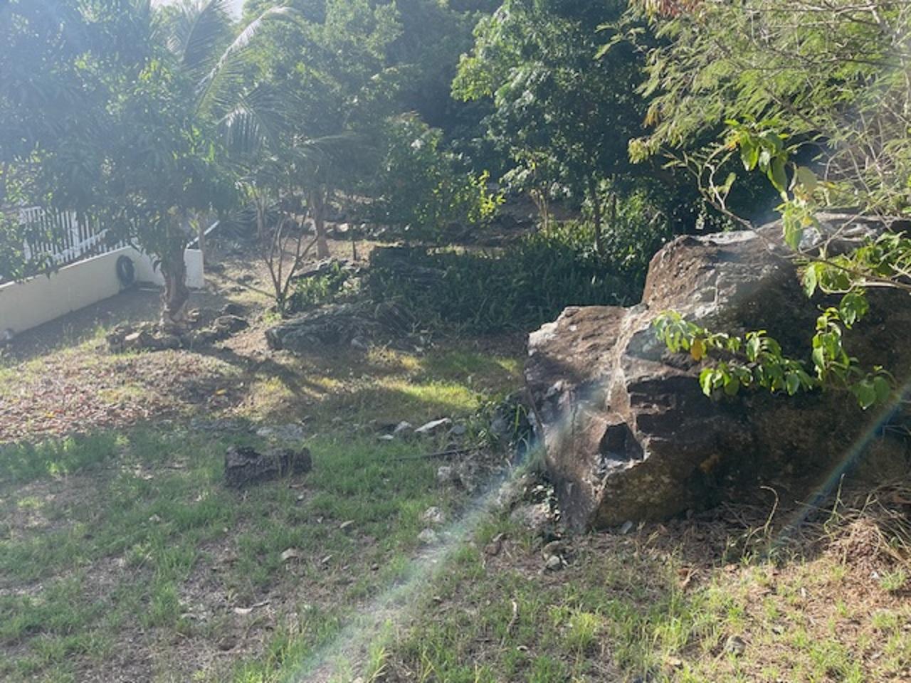 Main property