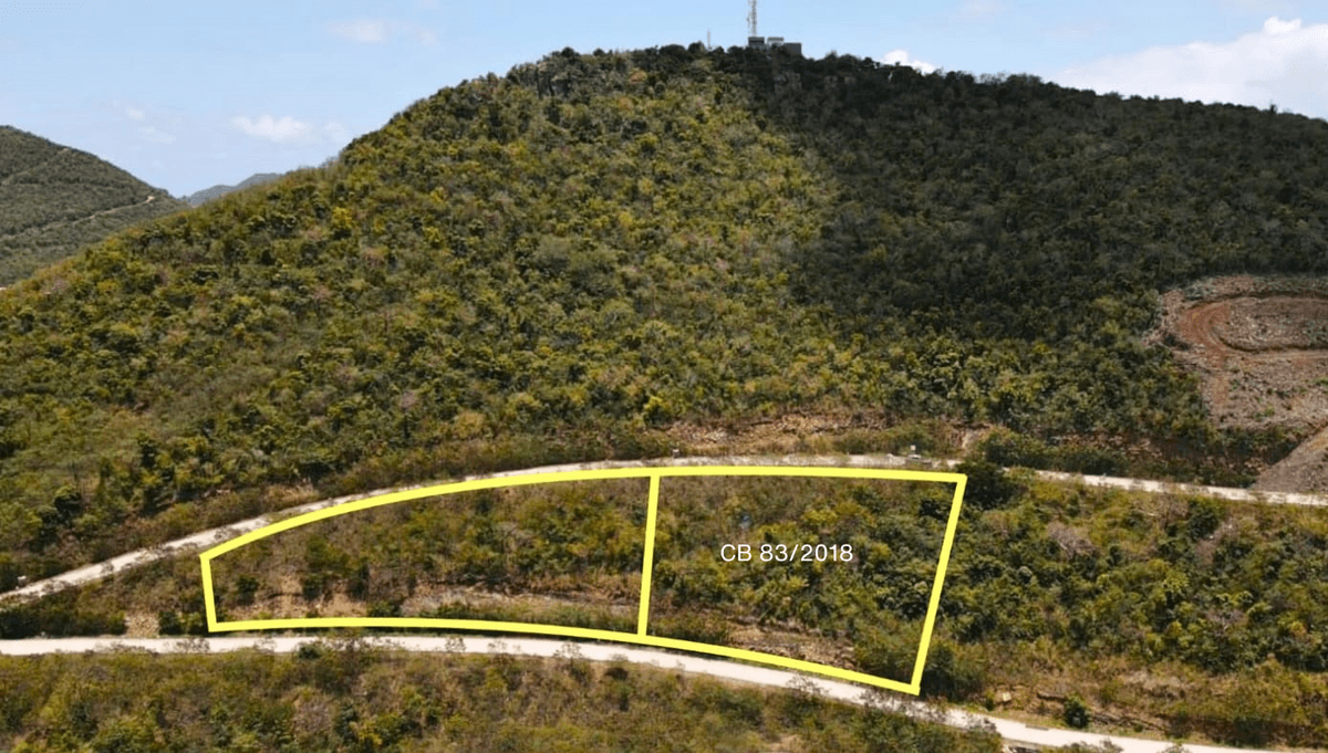 Main property