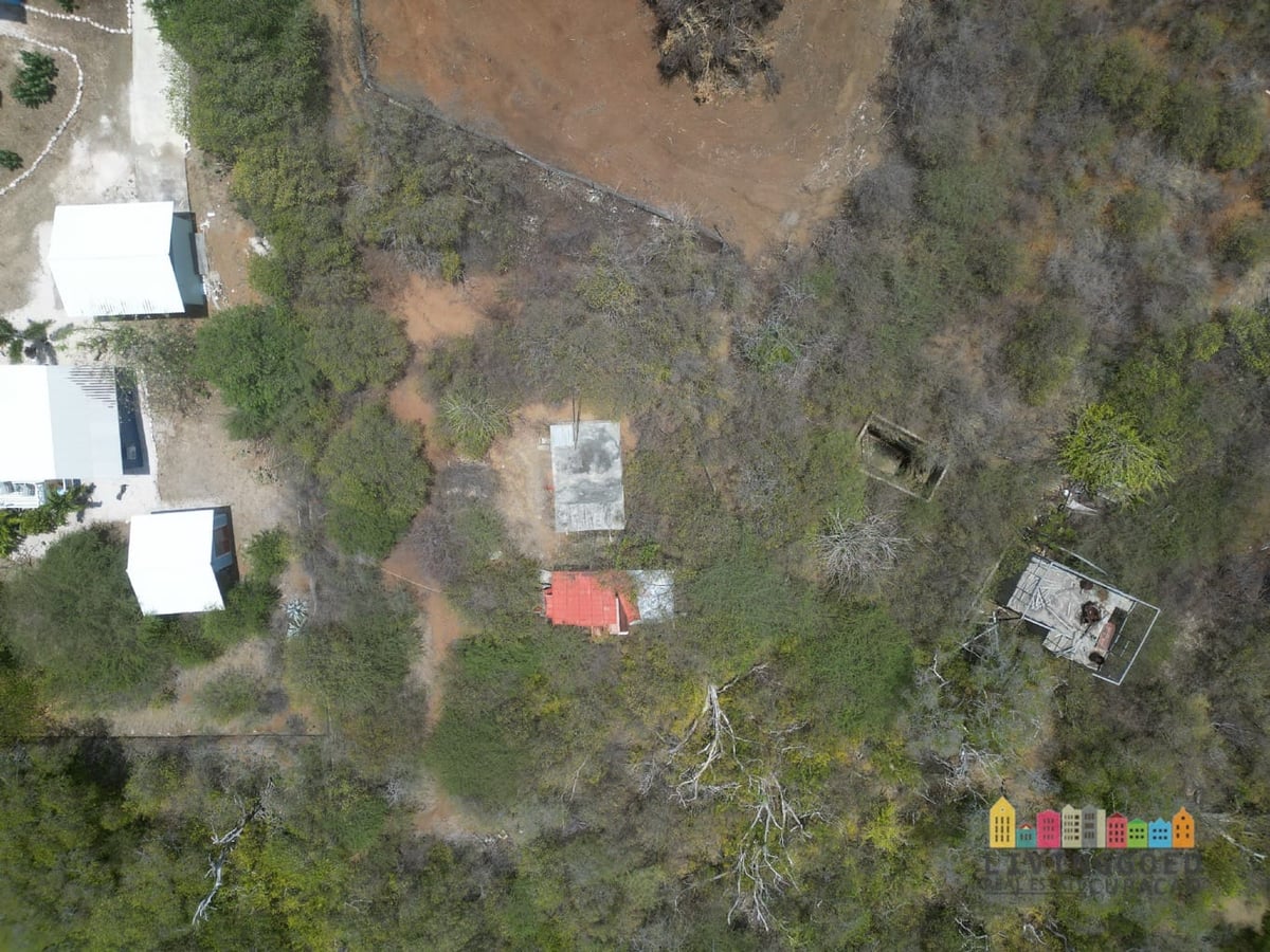 Main property
