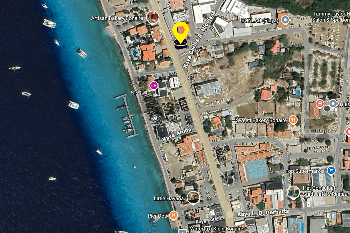 Main property