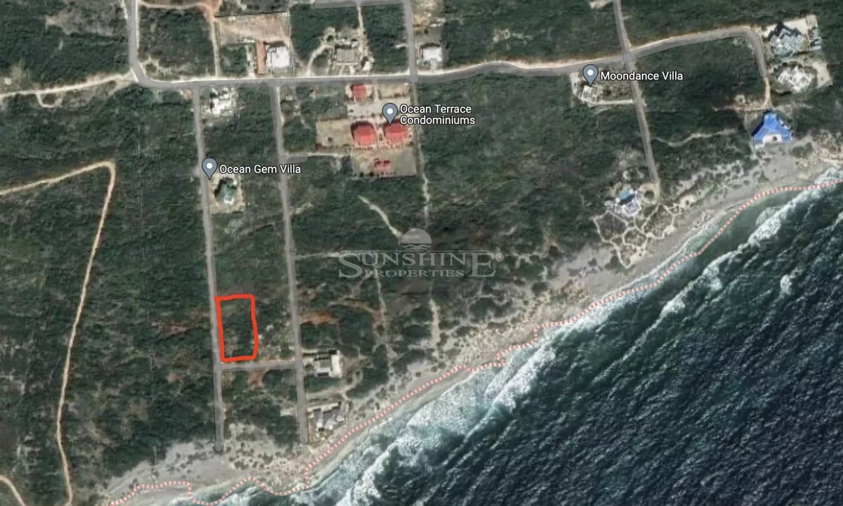 Main property