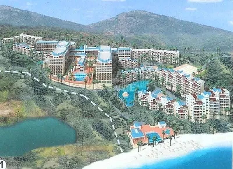 Main property
