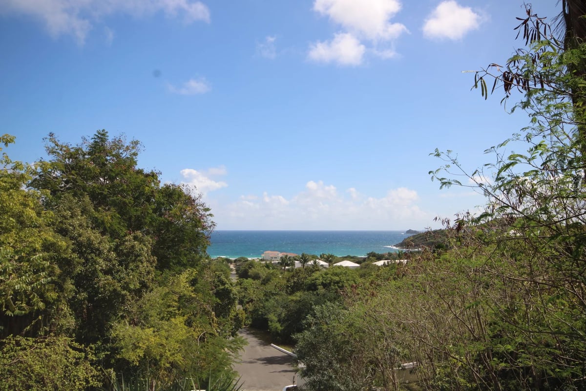 Main property