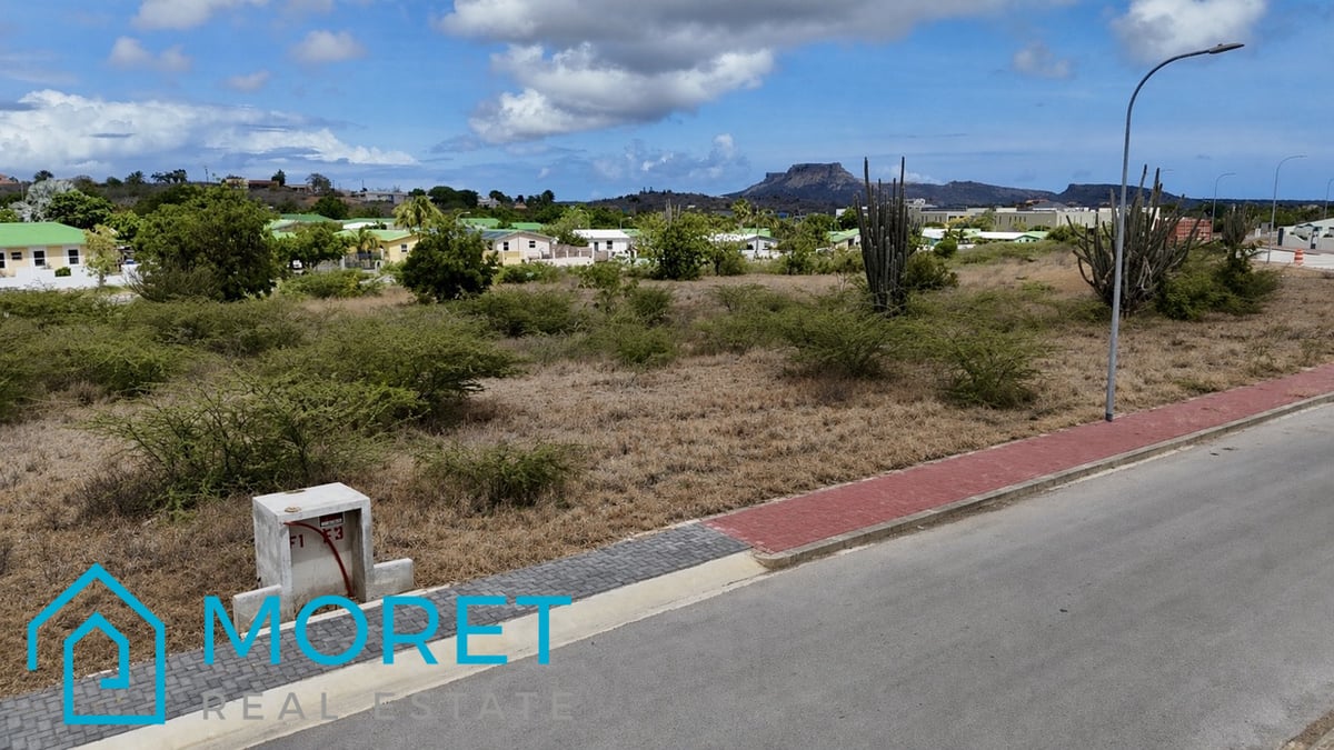Main property