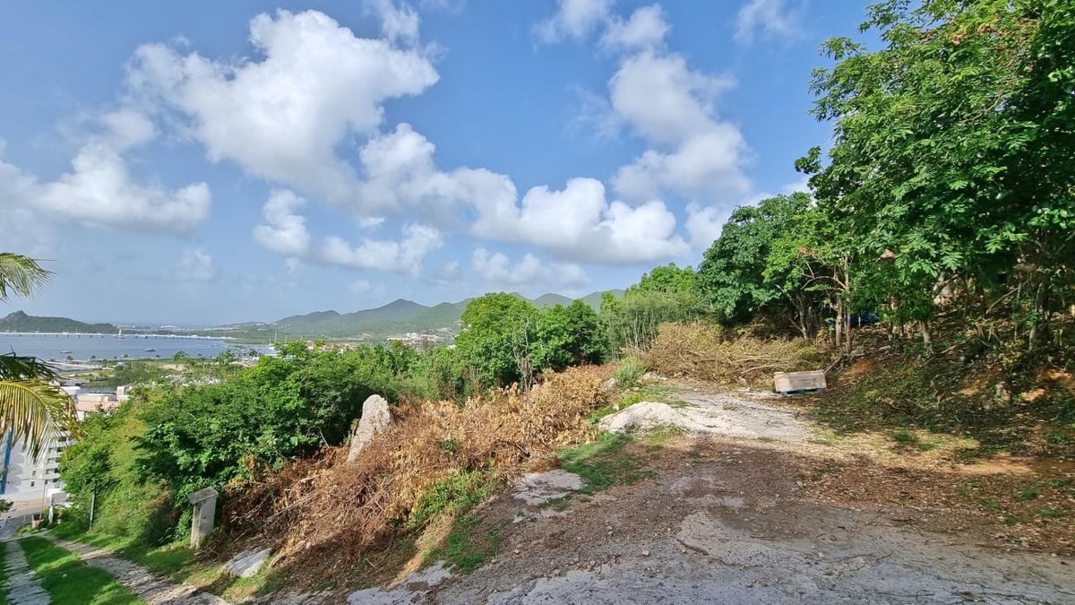 Main property