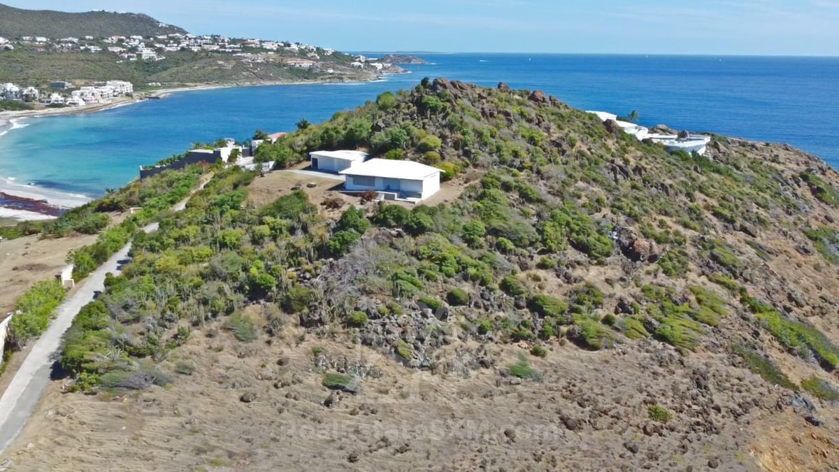 Main property