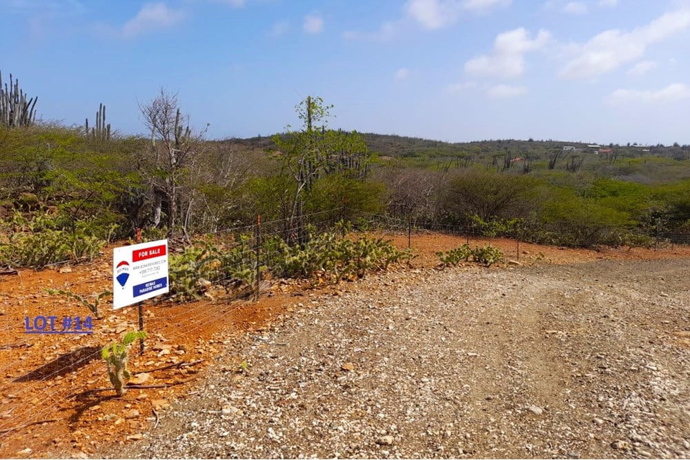 Main property