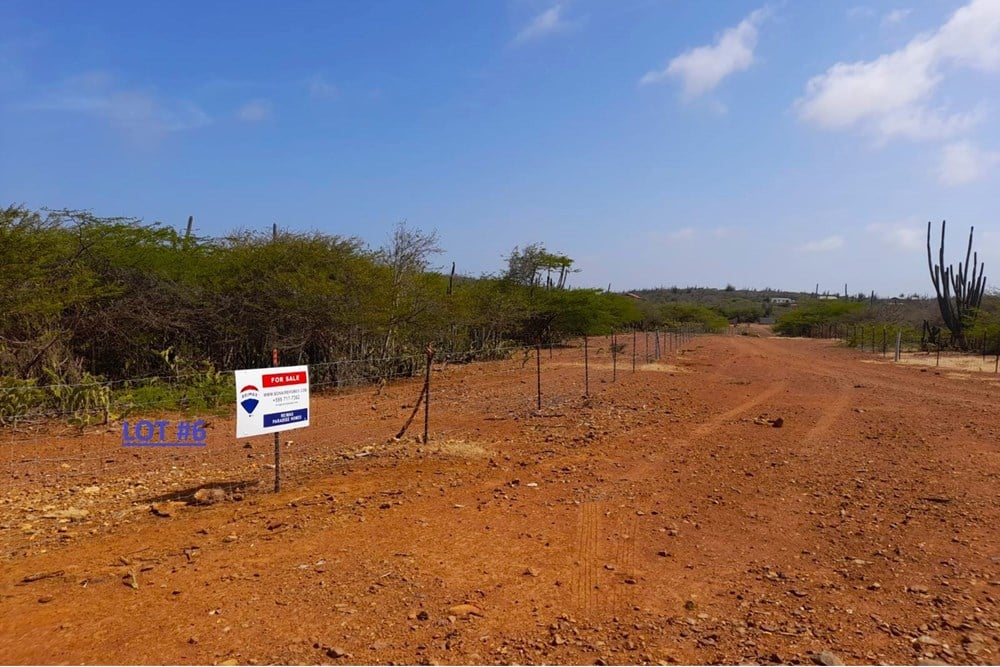 Main property
