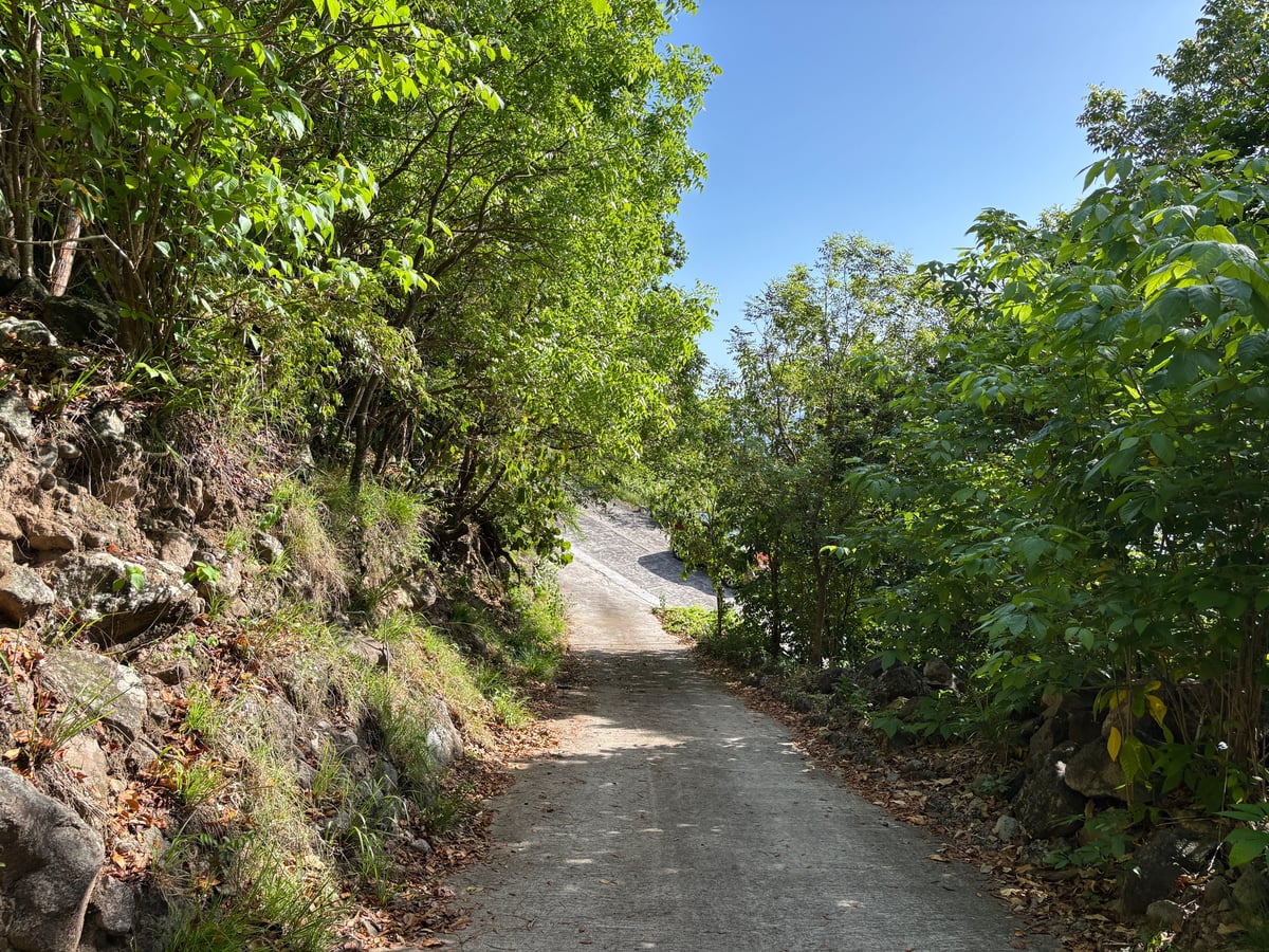 Main property