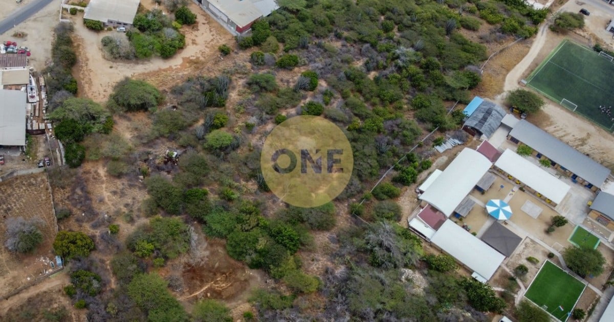 Main property