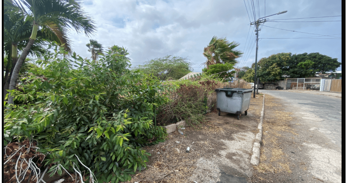 Main property