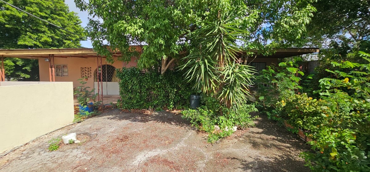 Main property