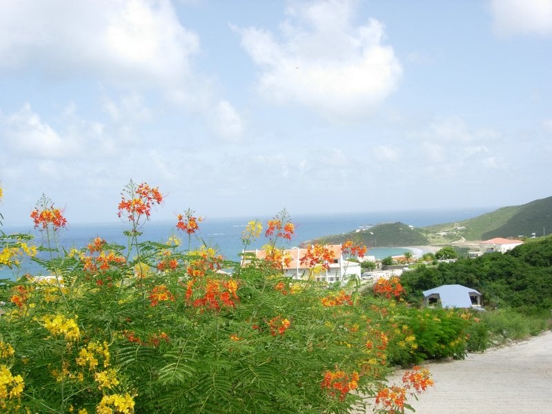 Main property