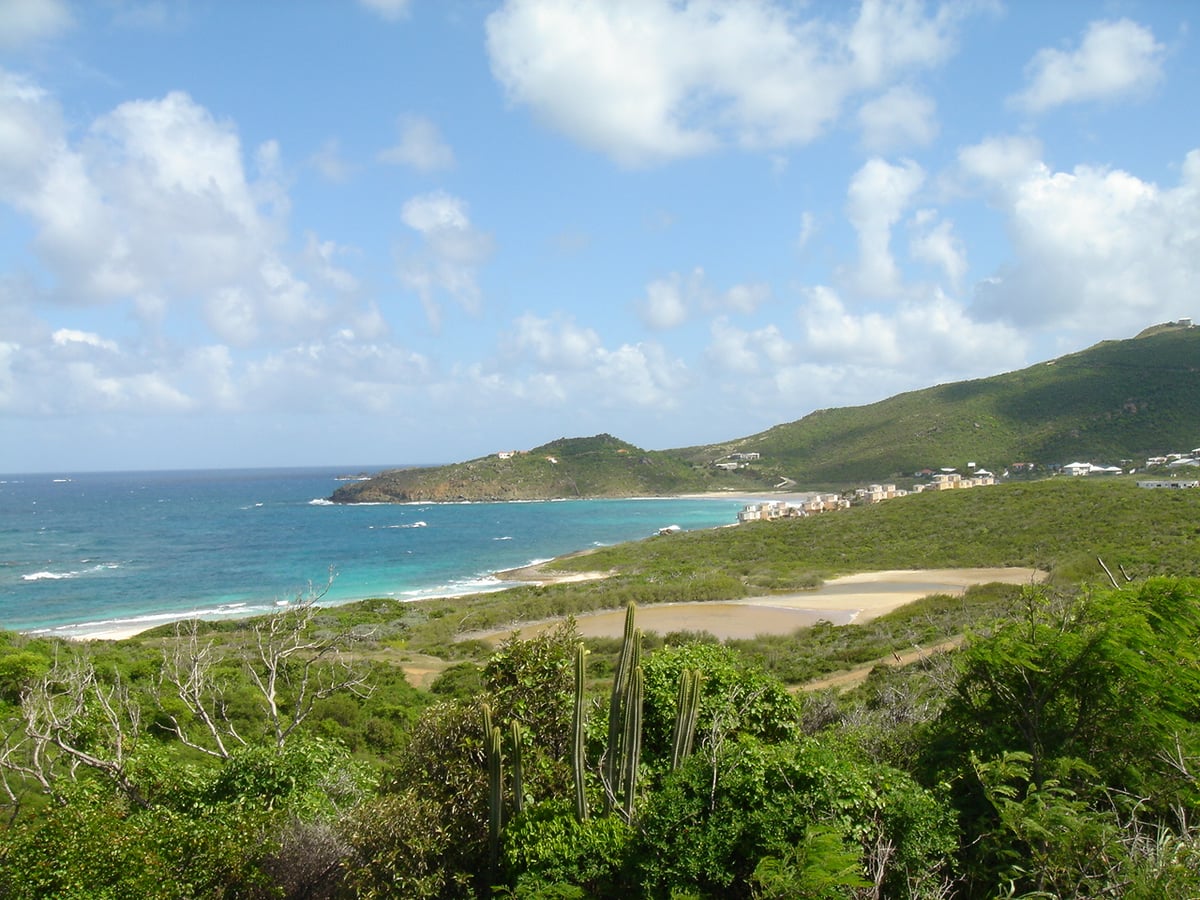 Main property