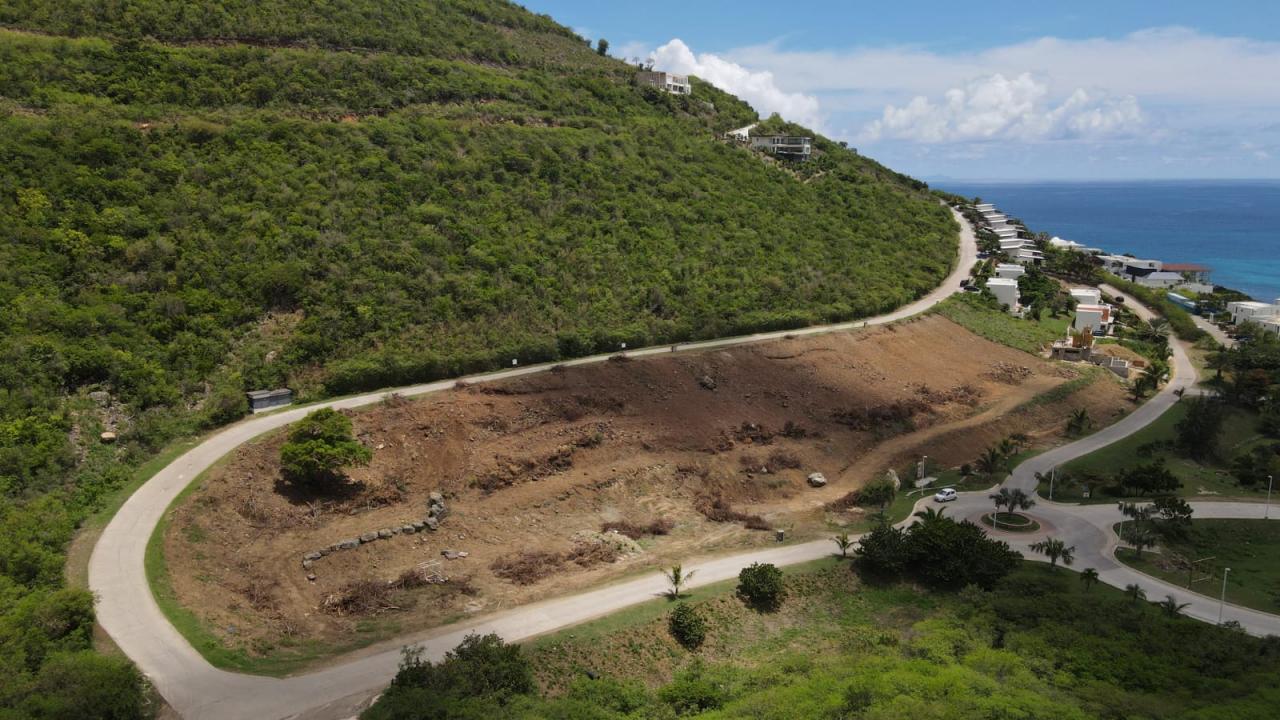 Main property