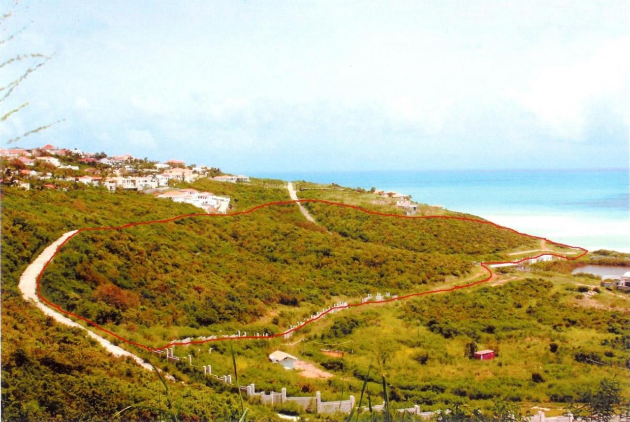 Main property