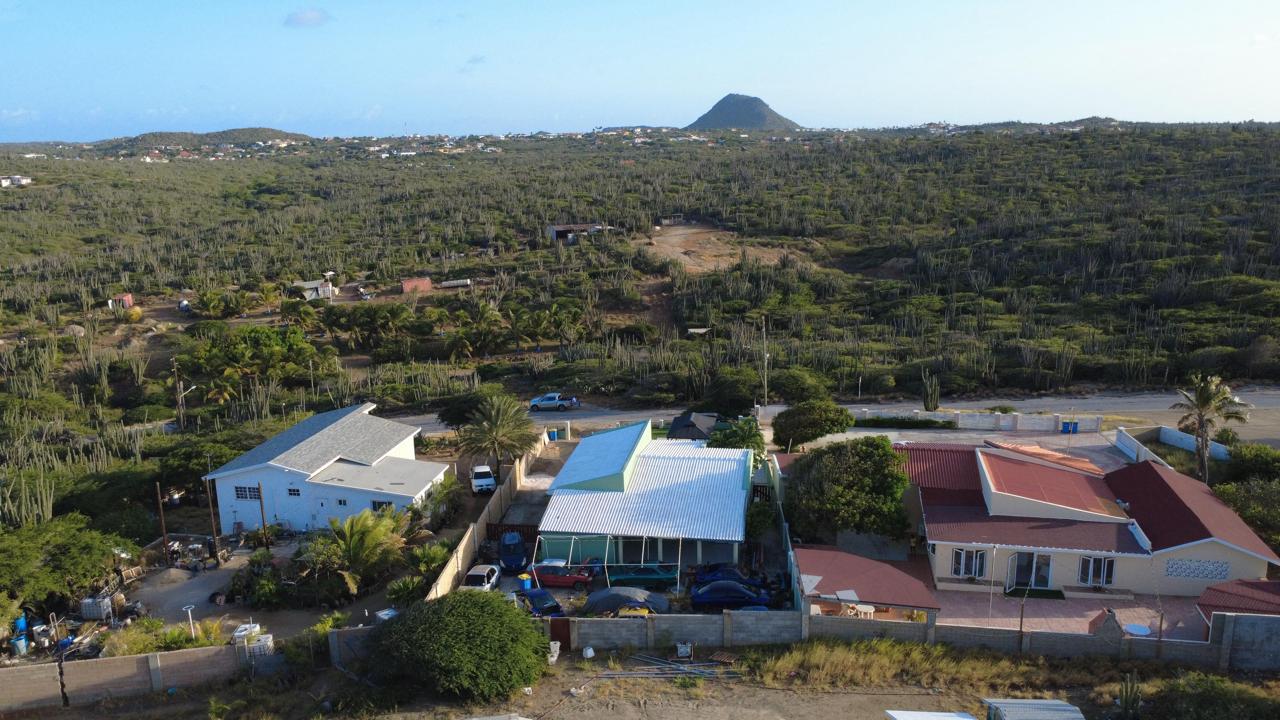 Main property
