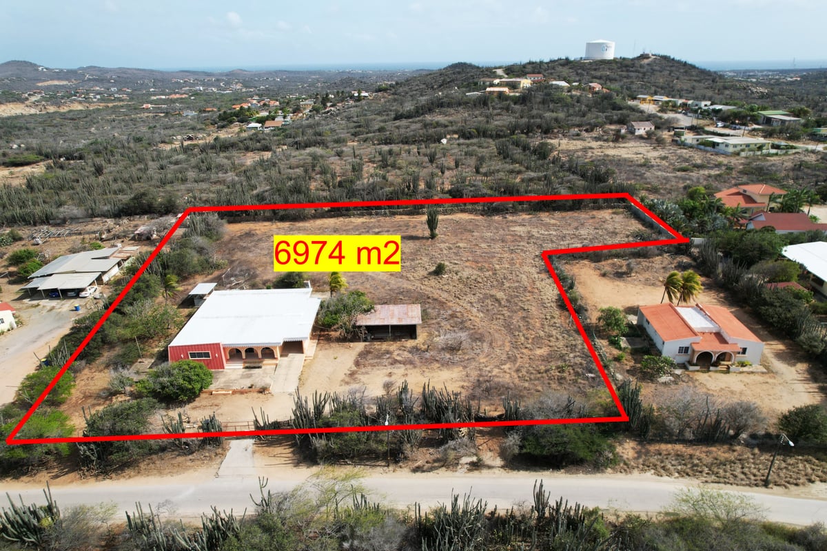 Main property