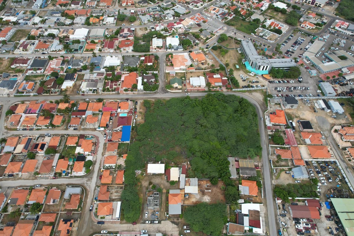 Main property