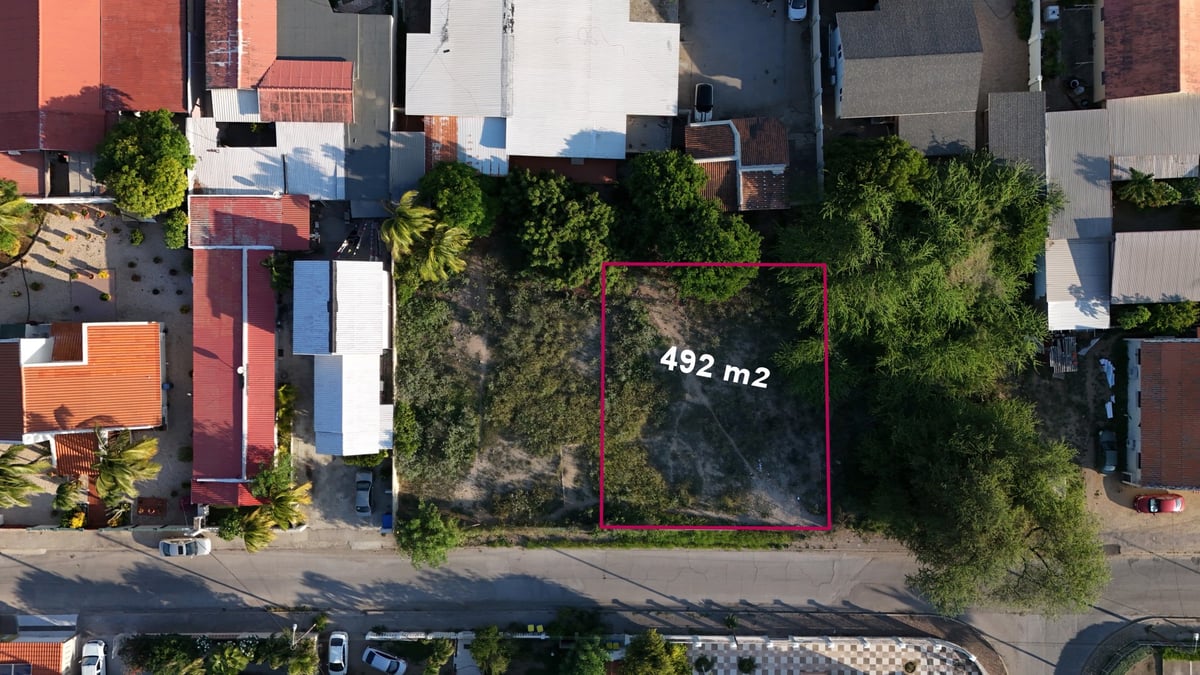 Main property