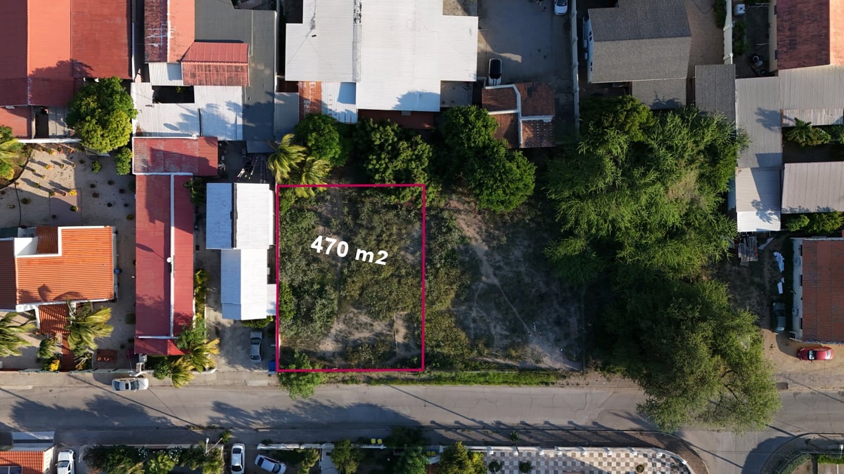 Main property
