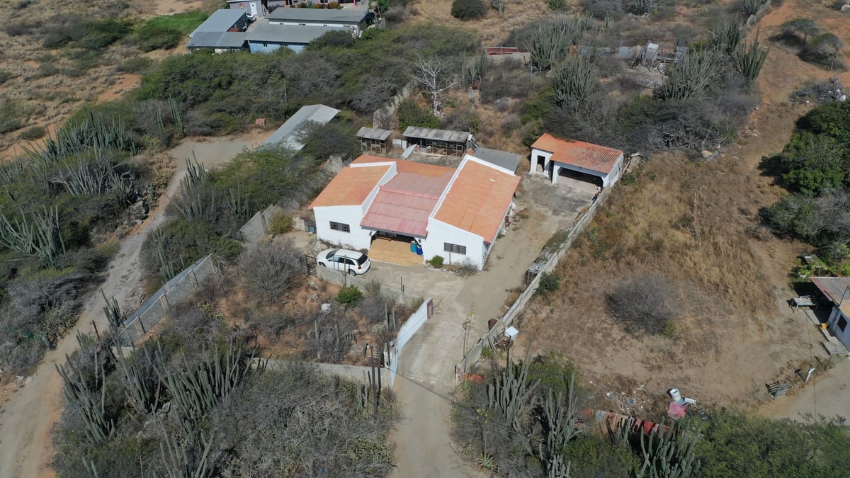 Main property