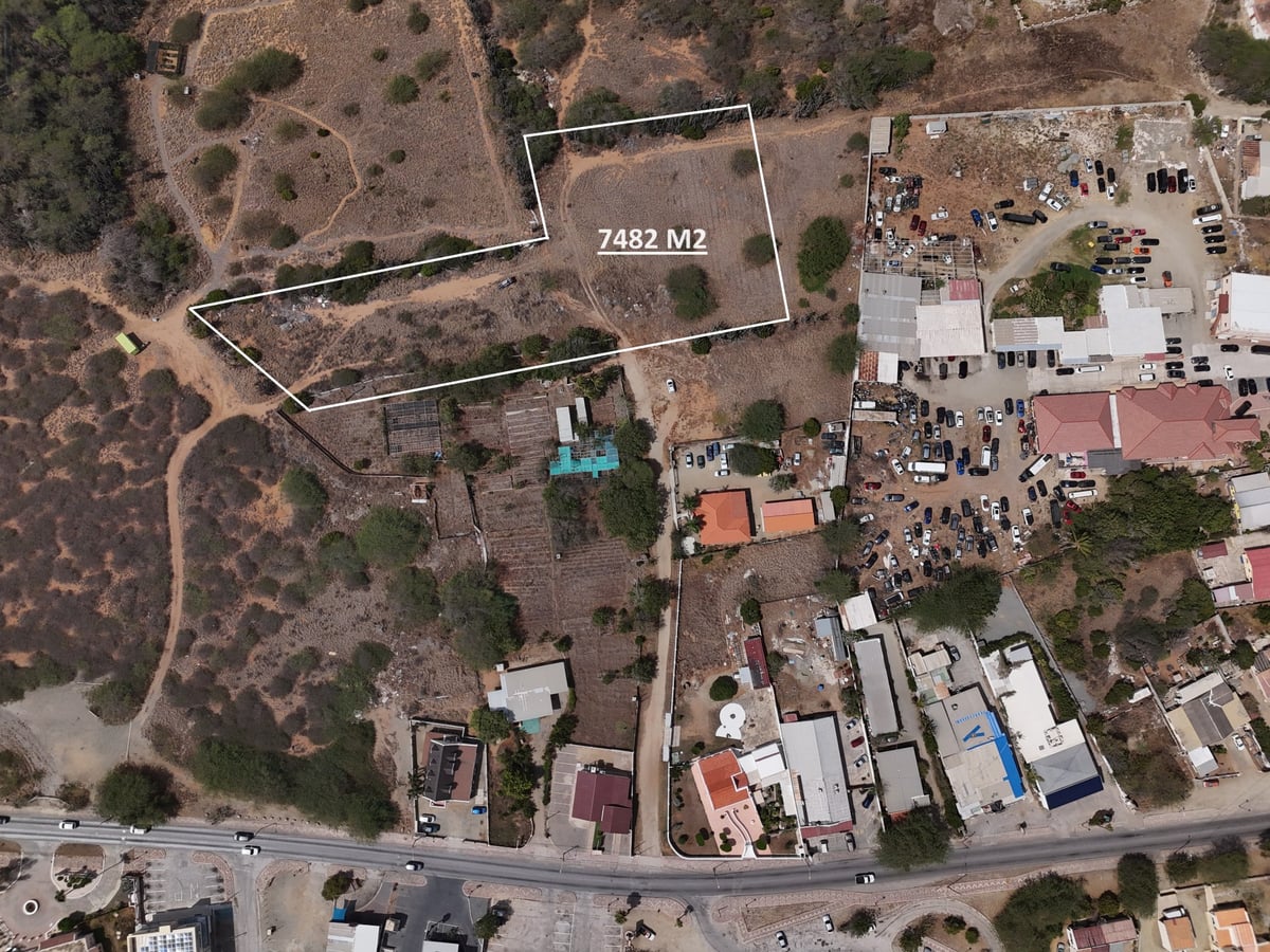Main property