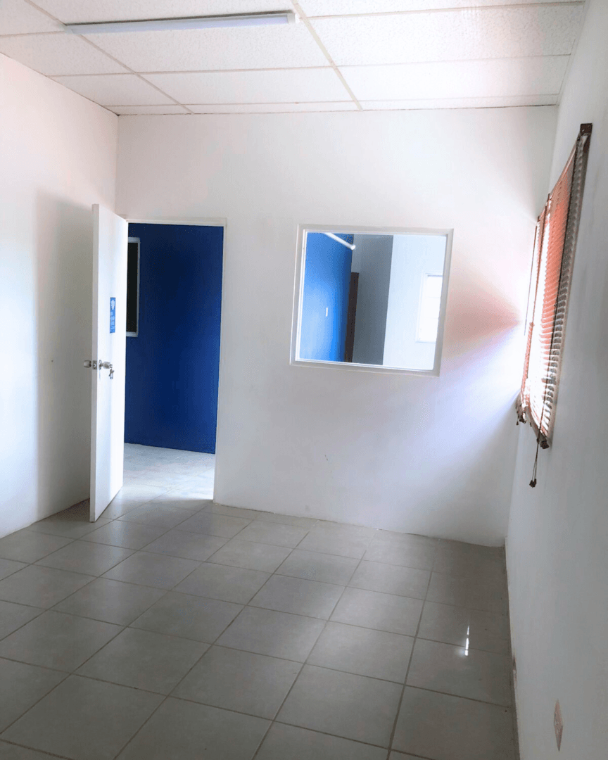Main property