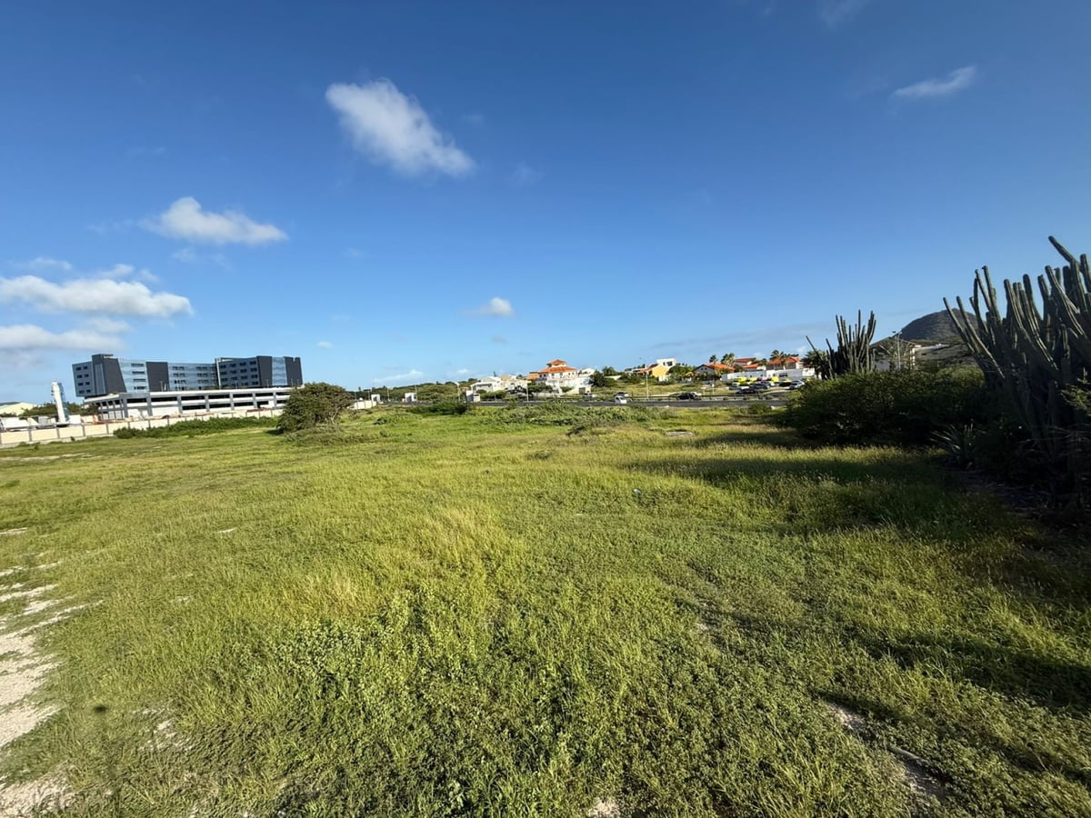 Main property
