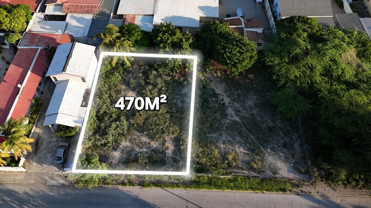 Main property