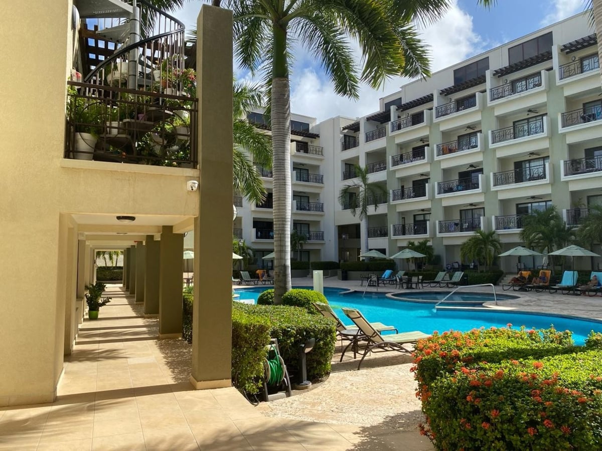 Main property